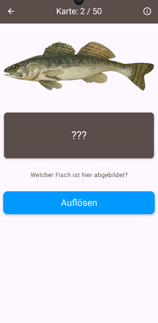 Erkennungstest – welcher Fisch?