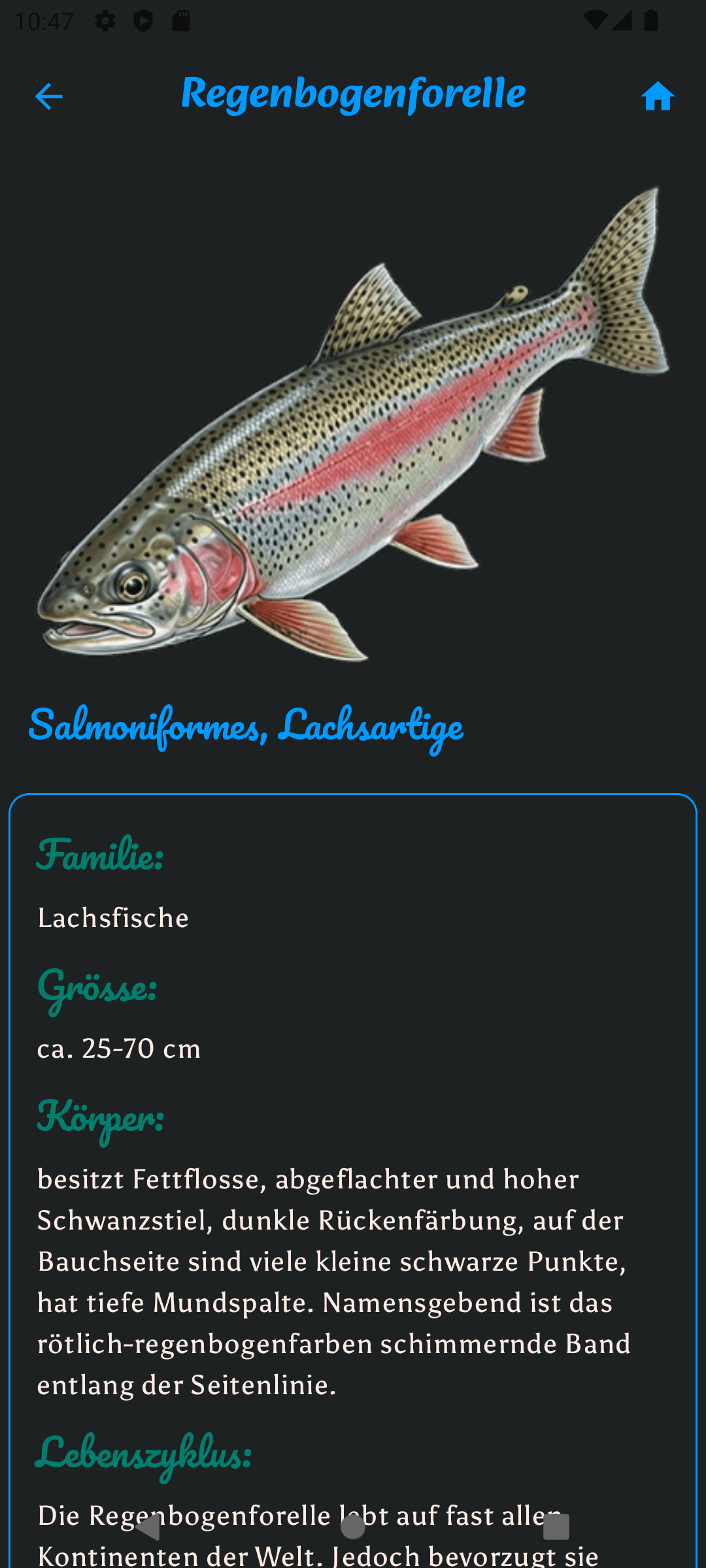 Regenbogenforelle Detailseite